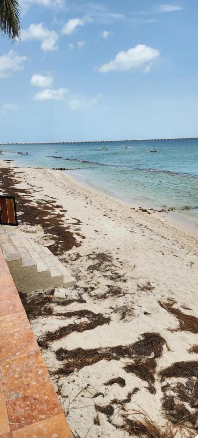 Condominios Orca Progreso  Ngoại thất bức ảnh